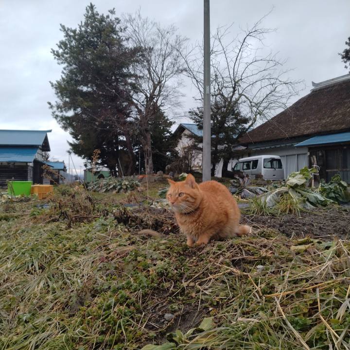 Bb73fa0a a303 40f2 accc 42c3fb300c54 1705902072790