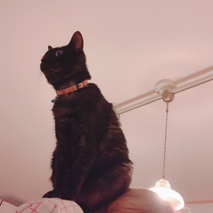 Bb74281a 1091 4256 9634 7861fa97c3b6 1559872645826