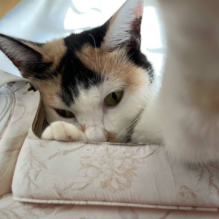 Bb747bf7 dcf9 4701 b9de e89ce46b976c 1690665155746