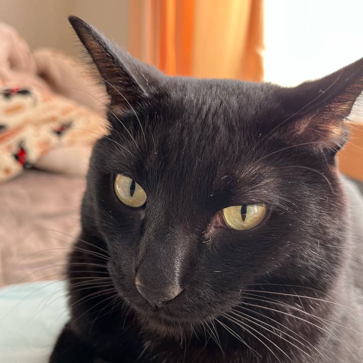 Bb7489da 6909 4895 8292 c9f3f8133ba6 1637972579109