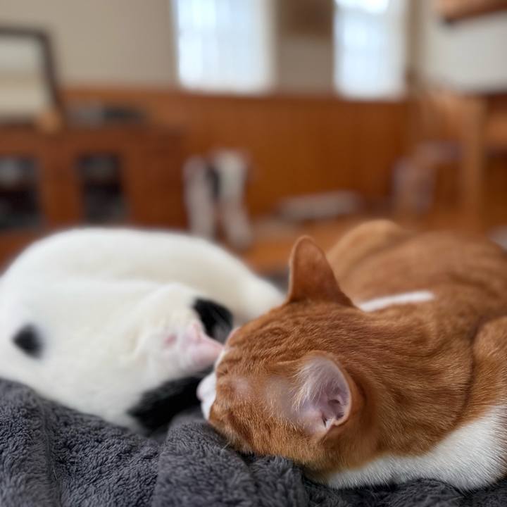 Bb74be77 b9c2 4808 86bd 6eb76efef1af 1772764791475