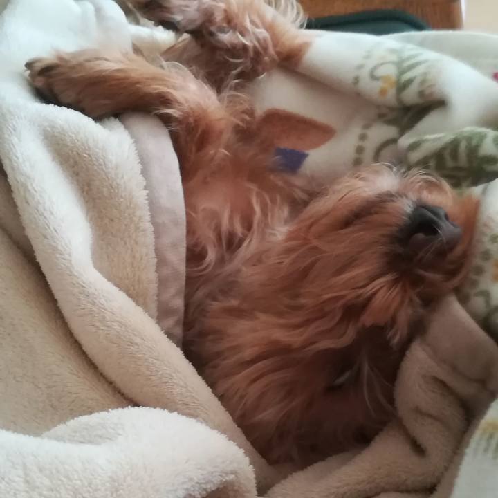 Bb74fda1 7cb7 4a09 8403 88ba64adb97a 1549791658973