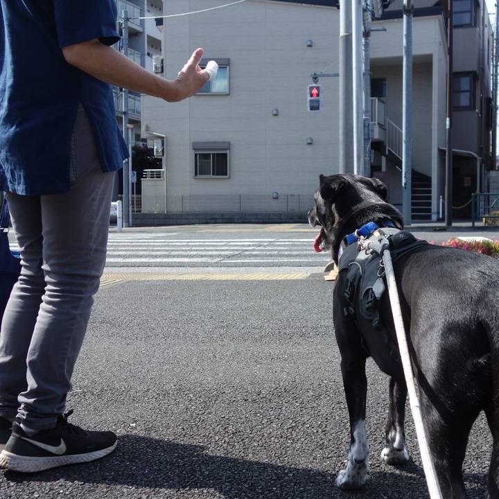 Bb74fffd dc80 430c 9474 8d22ba5bf62c 1654302603688