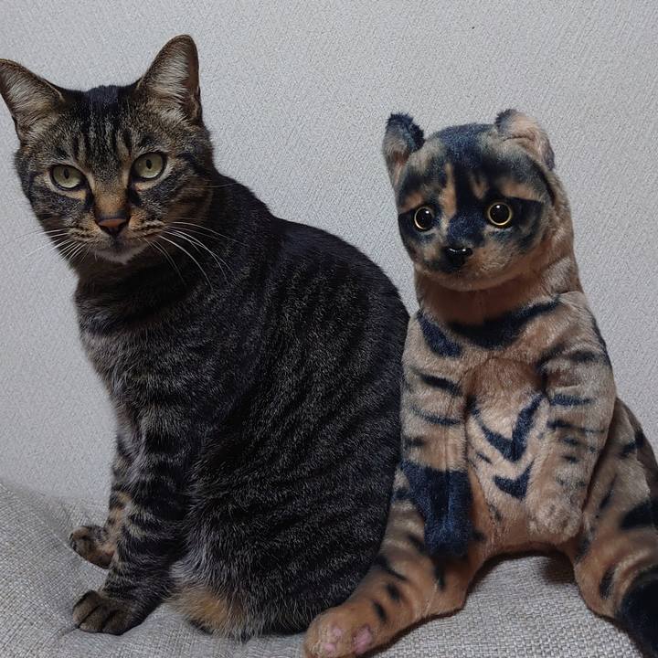 Bb758e25 b258 4b27 a07f fe02cbe8cc2b 1669971883419