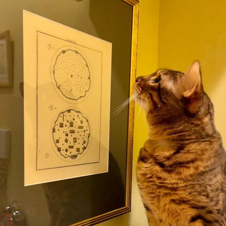 Bb759491 dc39 45ee 8df5 6d6b4b2261f6 1673756353486