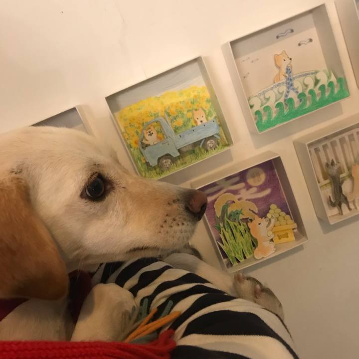 Bb75aefb b6a7 454d 8d24 cfc20fa84f9d 1553941274349