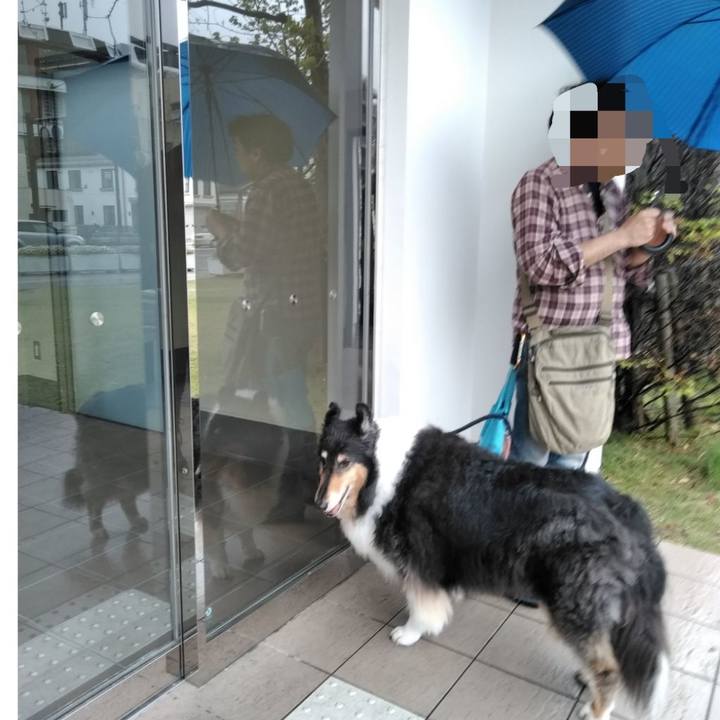 Bb760360 5662 415d 9adf db362cc37e0a 1556666629763