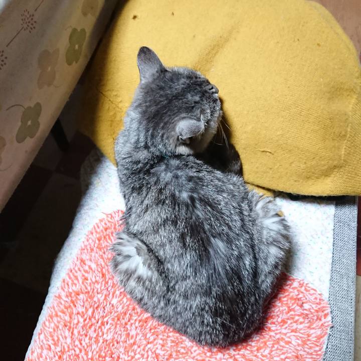 Bb76278e d440 42a1 906c 9ba715ce595d 1573768546331