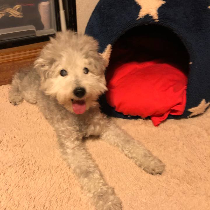 Bb764c22 c2cd 4c5f 9823 33c4d8899a7b 1626764174257