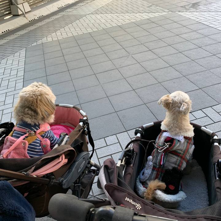 Bb7654d6 87e8 459e a9a8 ca260a257502 1579518225771