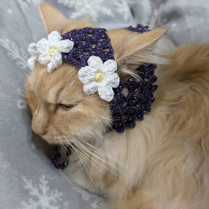 Bb7656f5 e133 494a b694 27499680afc9 1772634245136