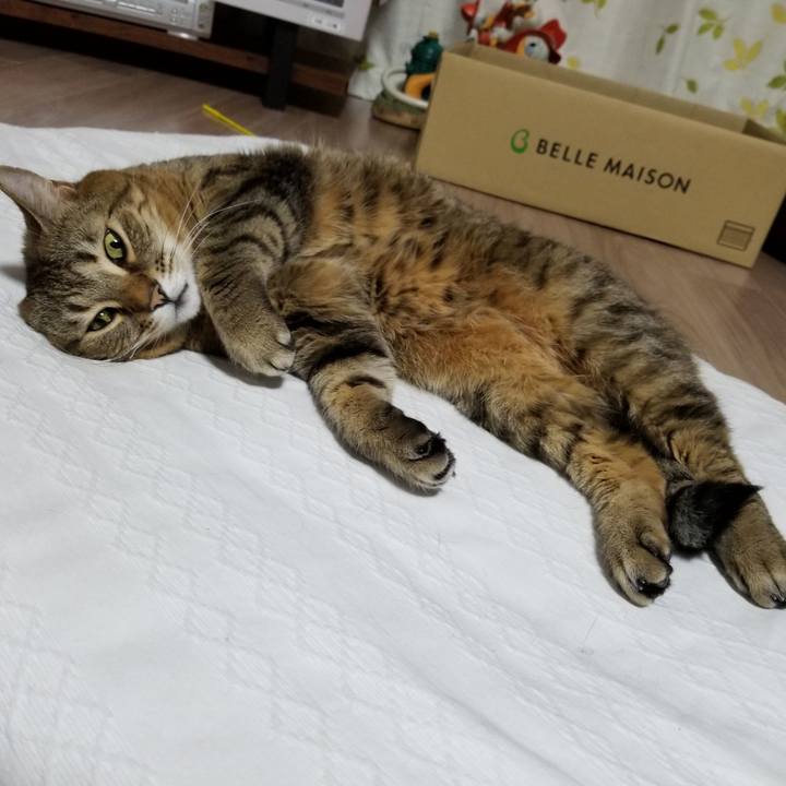 Bb767921 ba91 472f 98cf 6420e2681698 1615466245962