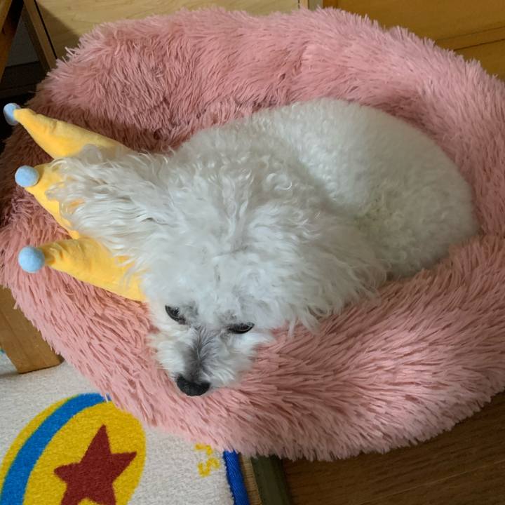 Bb76ac32 4bcb 4df2 8b7c b7e53e70c9b4 1603940323276