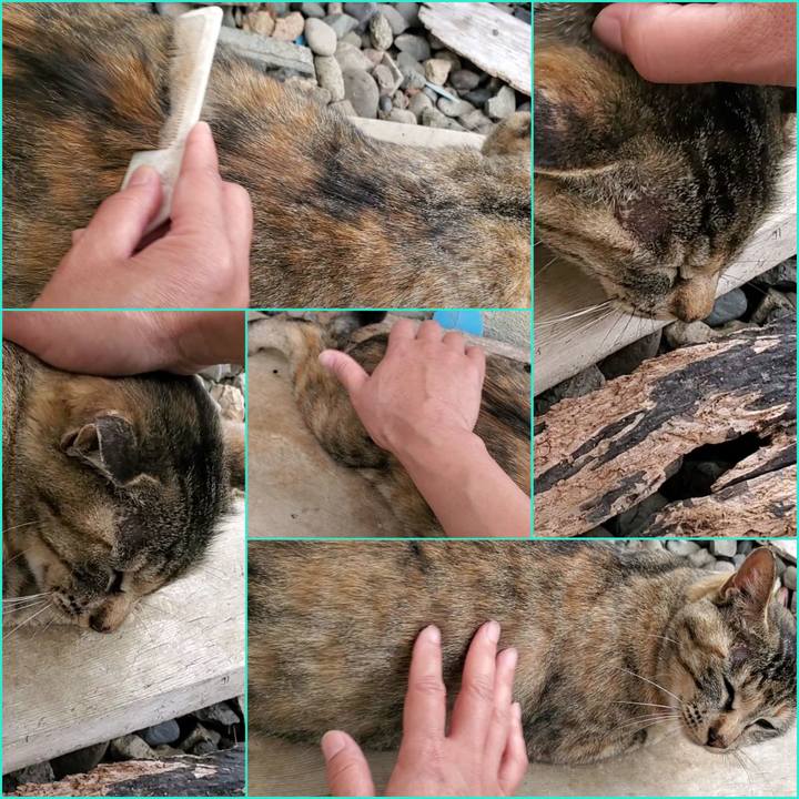 Bb76b872 a9fc 4fbe bf45 e735fba19247 1721312349530