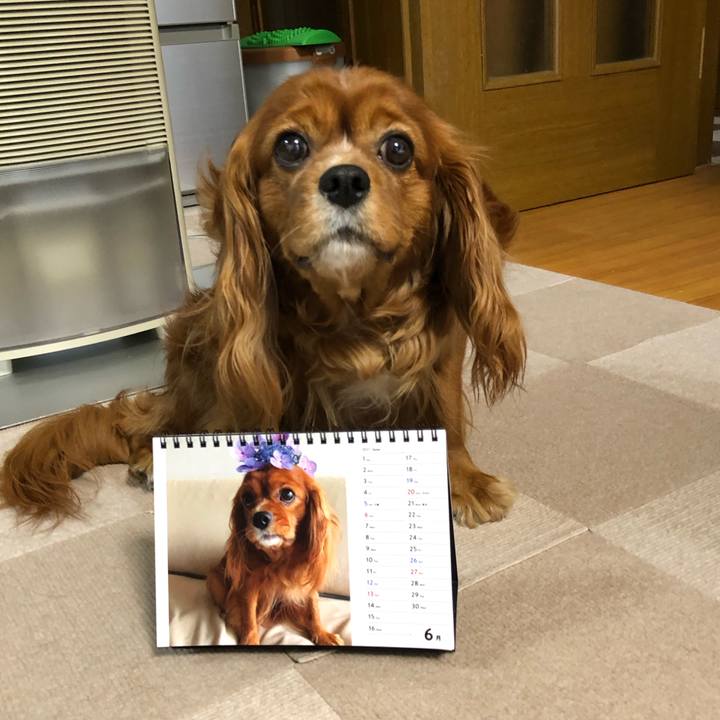 Bb76c4cb 529e 4305 a6fe bddf75872057 1622551643811