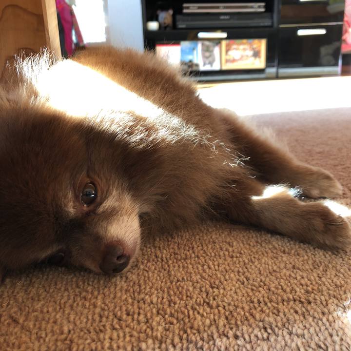 Bb76cc1c 4f2e 49fc 9ca2 77cd73bddc0e 1571617936920