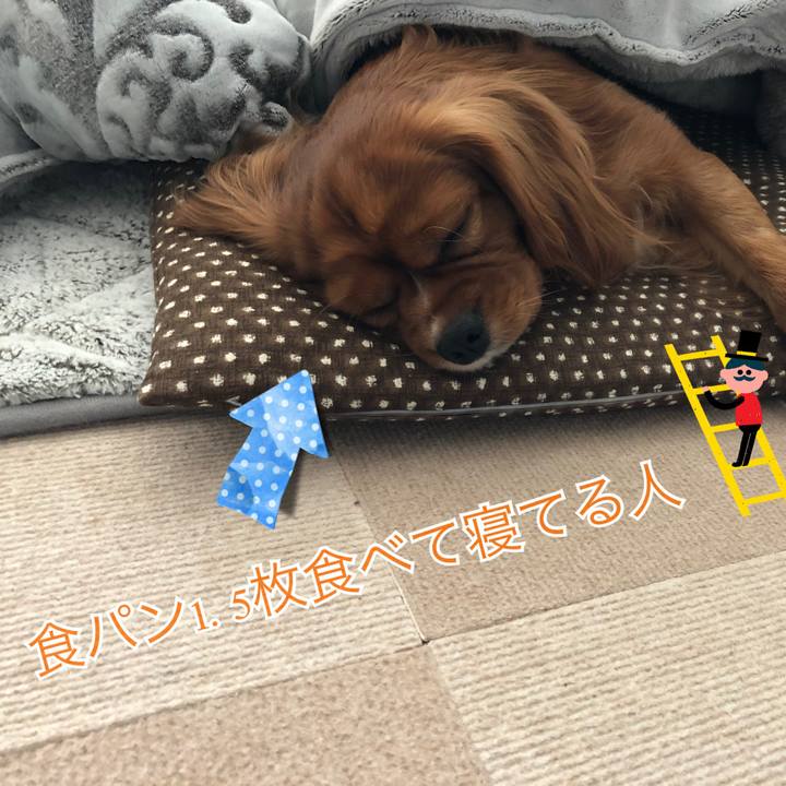 Bb76ccf0 ac9d 4304 b7d8 c4d8fbf3beeb 1543123988091