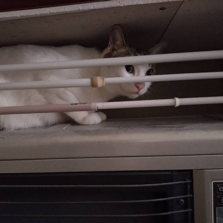 Bb76d4f2 38a0 4649 87be 083af20b0939 1750594544900