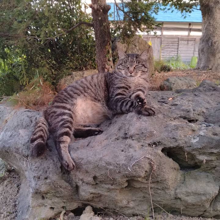 Bb76d5e6 df8b 4f49 98fc 639dae5f07b3 1690540196608