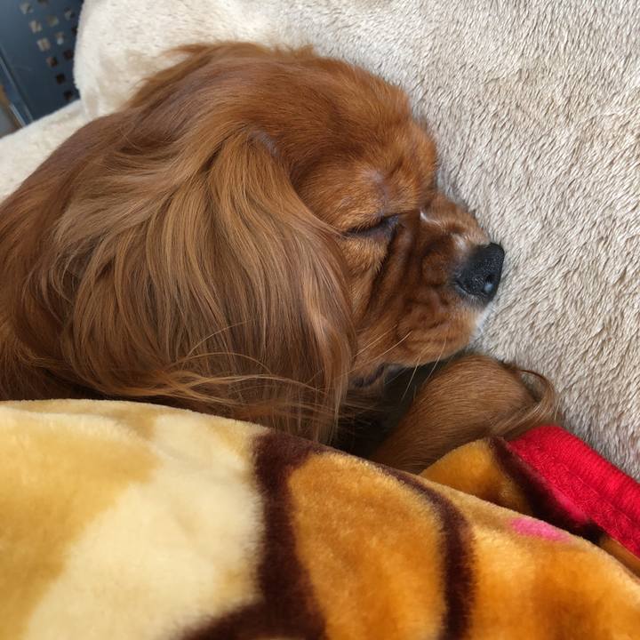 Bb76f9ff d5eb 4224 8e88 781d4eb84f87 1552797230256