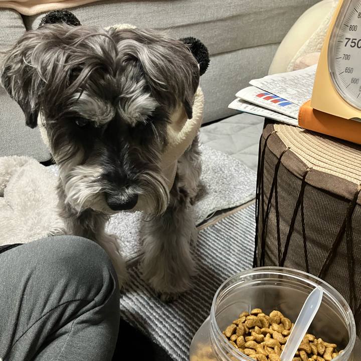 Bb777037 a1a5 4844 b5a0 440efafd3d54 1772006780994