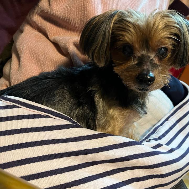 Bb77738f 5a75 448e 80fc 2074f50e83f2 1701001335077