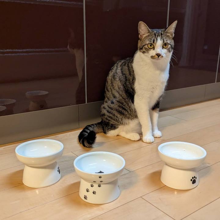 Bb779dda 2a05 45c6 82ba f16bfe6ed5e6 1756706215733