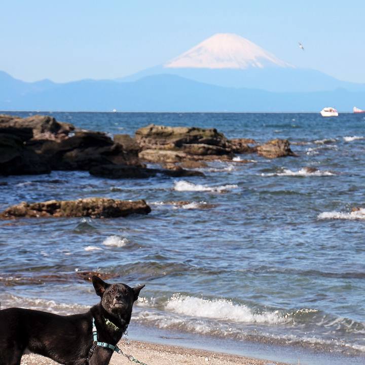 Bb77a0cf 6891 4ab7 9cc1 366a87cd3d47 1540643406977