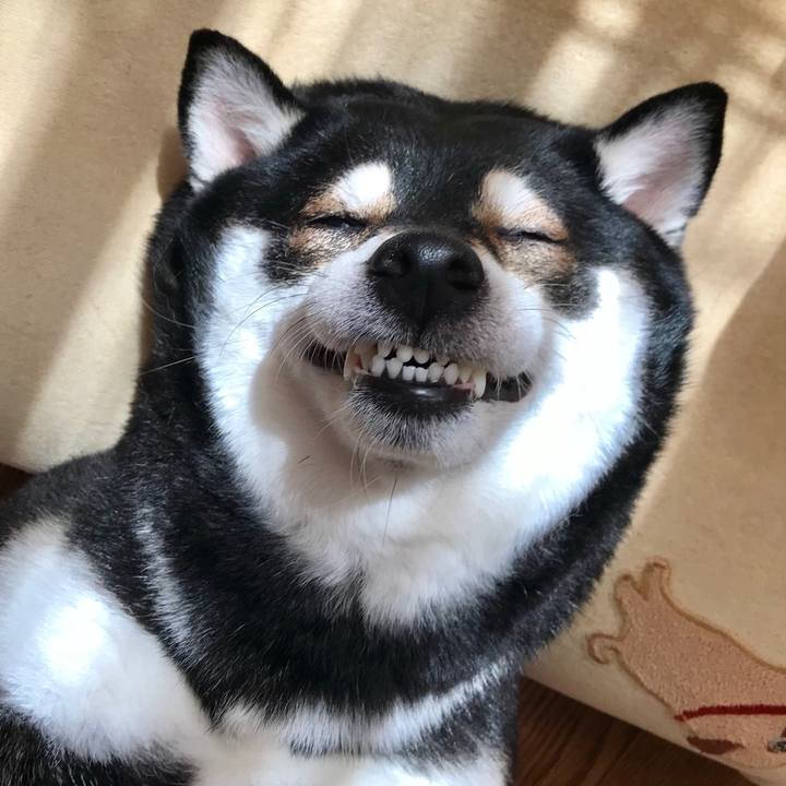 Bb77a835 0fb2 4c06 8a22 c8aff6fa6336 1509340055277