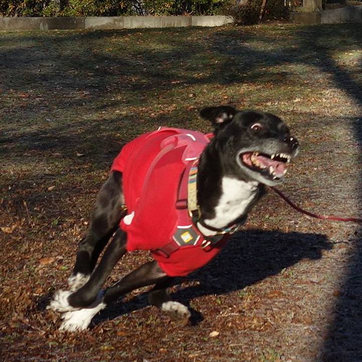 Bb77d3b9 ca96 49a4 a26a 3b3b9ec2a4ad 1703465030067