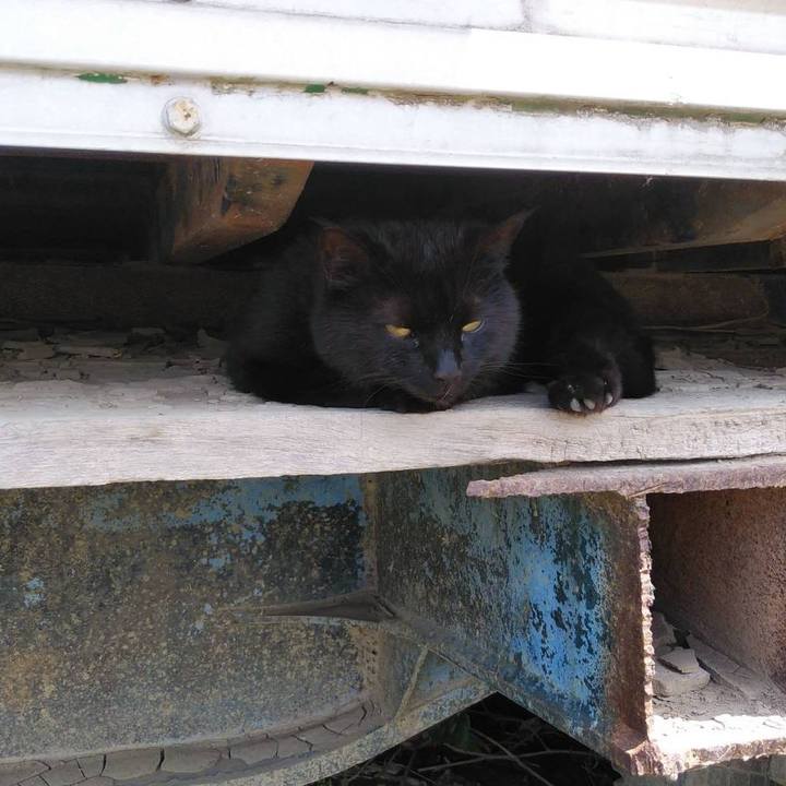 Bb77d3db 5bd3 4d59 baa7 ba8fd750d426 1591073842331