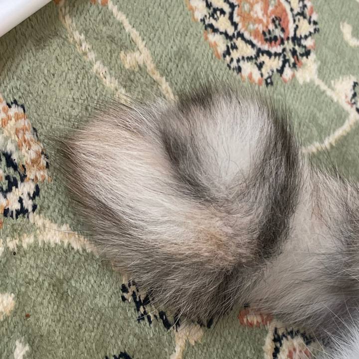 Bb77d48e aec6 42ee bc8e 88273f292003 1752359940911