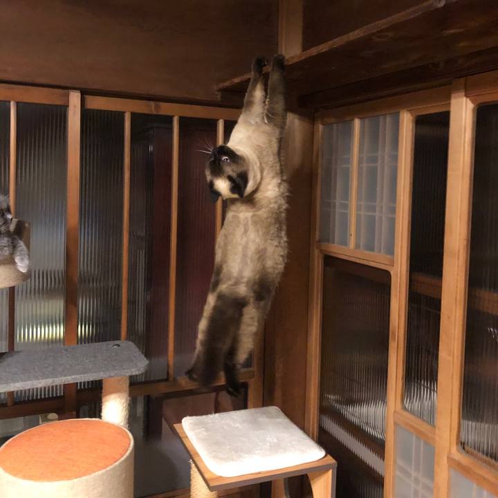 Bb780eb0 cde0 420e 8bc2 7a7150321fa5 1619914432496