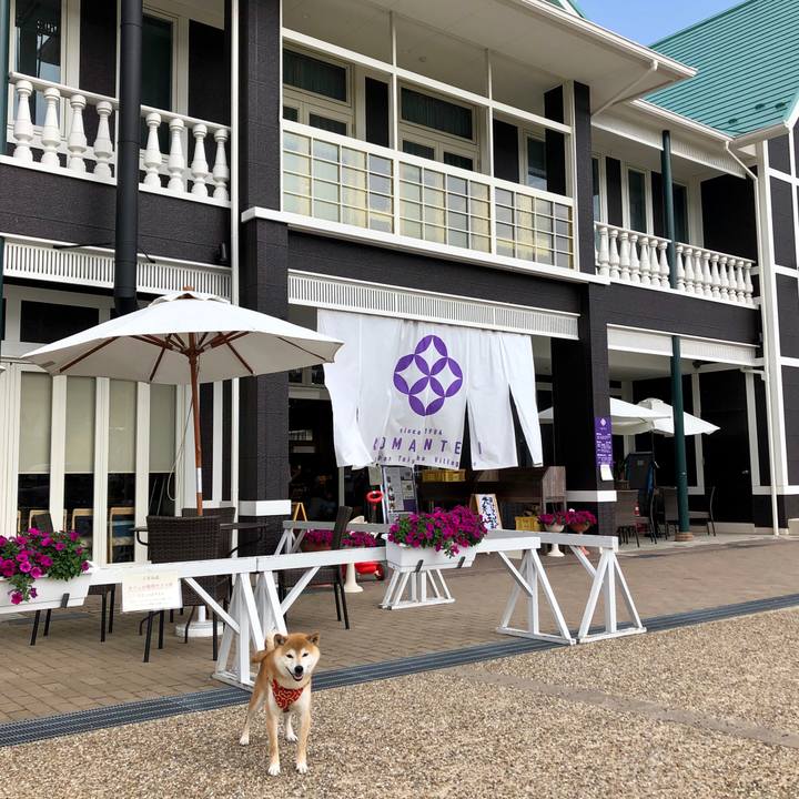 Bb781860 5e56 4e64 8d64 418fcfb3ff23 1559732621658