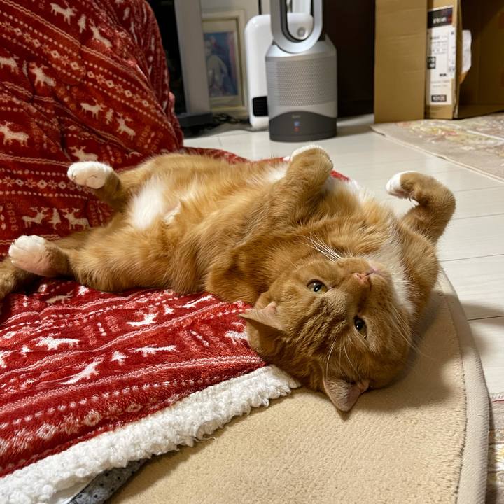 Bb781b93 cd6c 47dd b54b 1101dc5a42bb 1641128820650