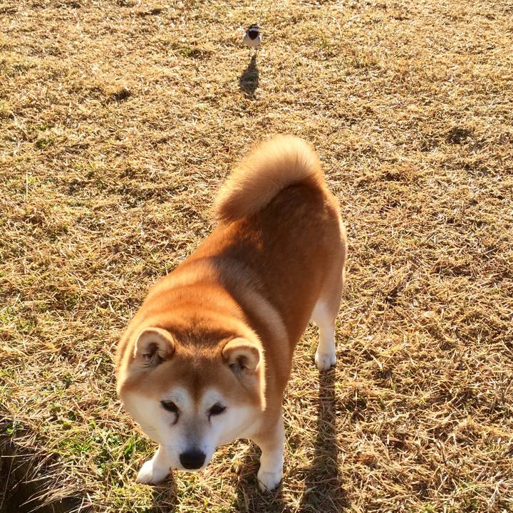 Bb784035 5c2a 471e 85a7 d611eb2c3dab 1640204500287