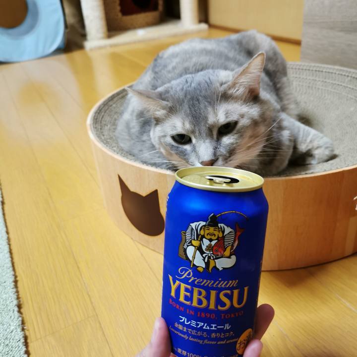 Bb7866d4 7e58 4c4e a97b 8a815a6937db 1637589911518