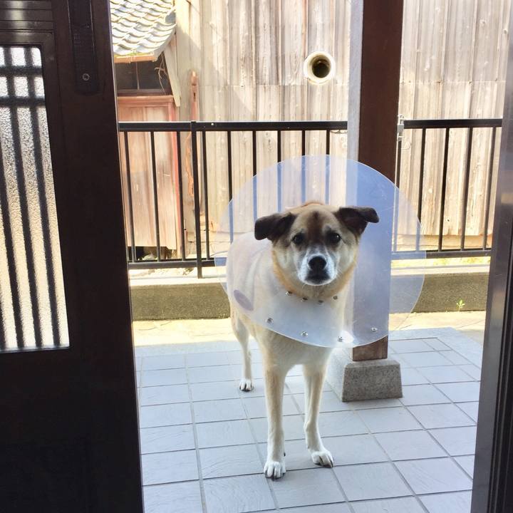 Bb789738 cb74 4596 b73c 304e19a20520 1526796417993