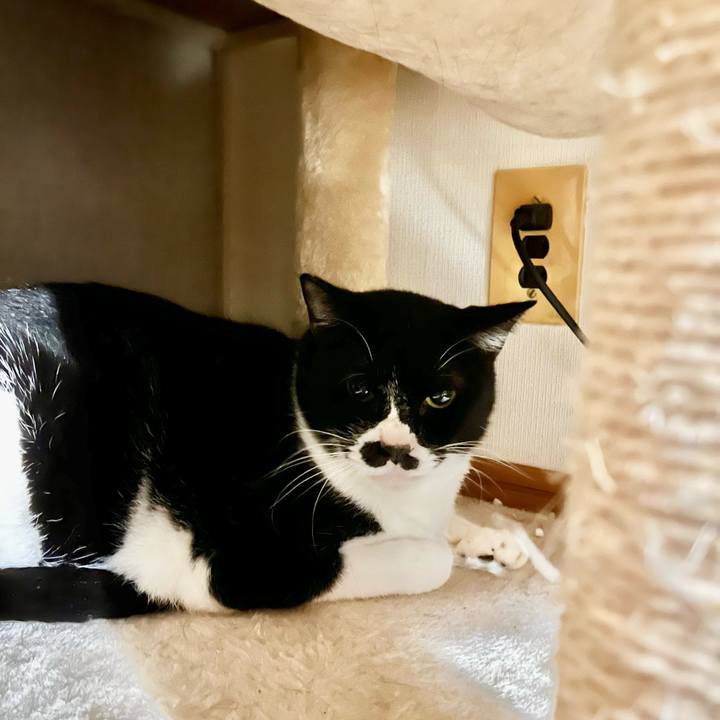 Bb78ae81 8dad 45ab b3d4 904dbaa53da9 1702673836887