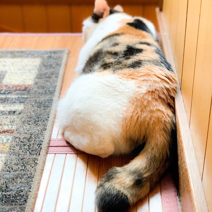 Bb78bbc1 dd98 46e3 ae08 52a86a9ce605 1565572685438