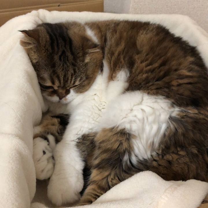 Bb78c297 cdd9 41c1 af44 a3c08e0796bd 1537599844883