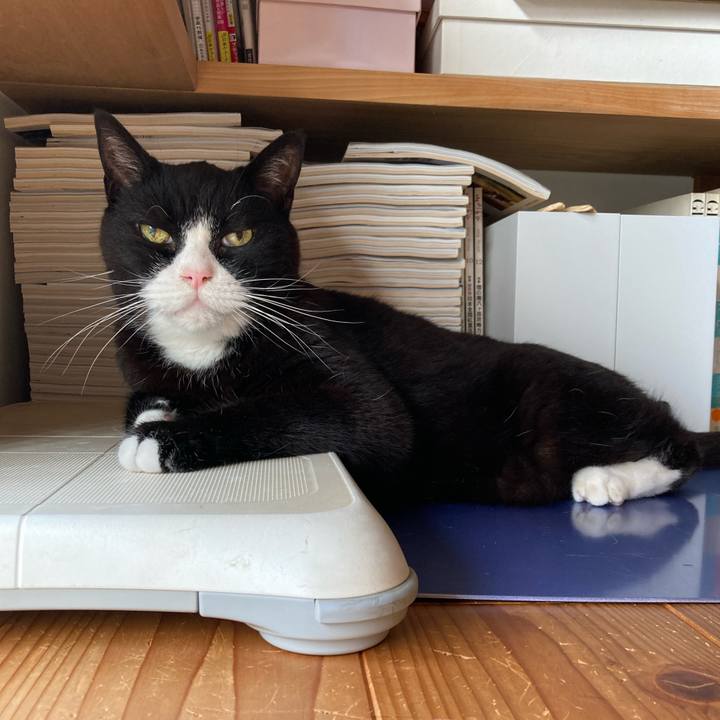 Bb78d12a e6f9 4660 bfac 7e8b11a60427 1628725730563