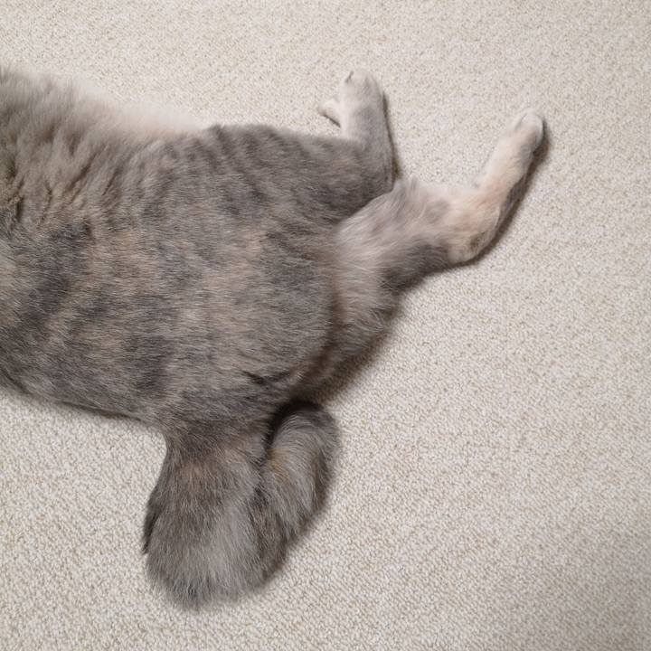 Bb78ed18 50c8 4d60 bc18 9470c62757ad 1593244511824