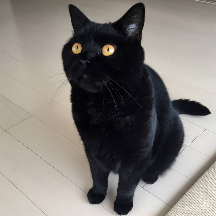 Bb79178a f8d9 46e6 9530 b8a4d44ee777 1537147711884