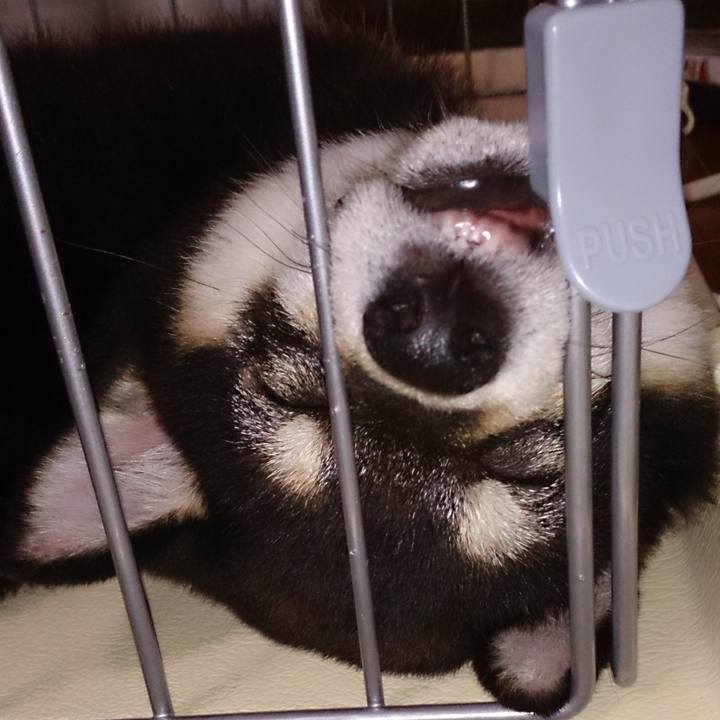 Bb792a79 5fa8 45de be52 cacc008e6229 1539057422526