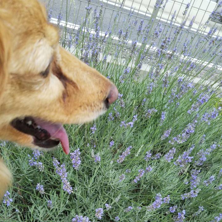 Bb795311 4f0f 4870 9c95 20994914a20b 1593250032051