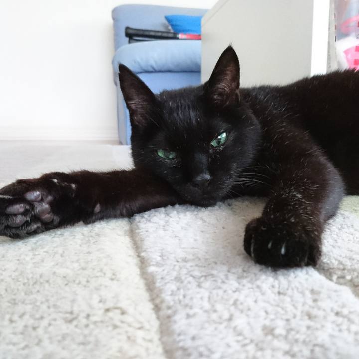 Bb796328 78ad 4a65 b14c 2f2b5212e878 1567294632124