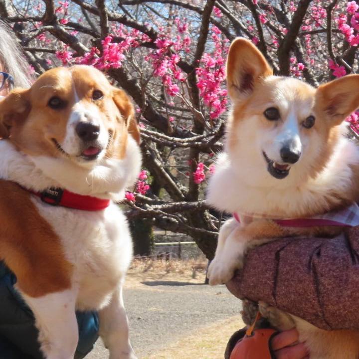 Bb797bf0 38c8 450c af5a 476fd6b29160 1677460335353