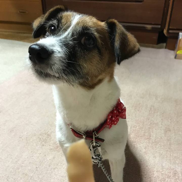 Bb7987a6 2229 4fd4 a592 ade27a43cec2 1536920308798