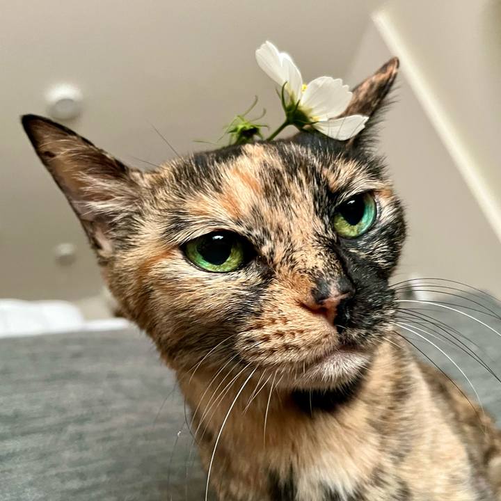 Bb798b17 8e2c 447e 8c71 cc519a5aab08 1698677547526